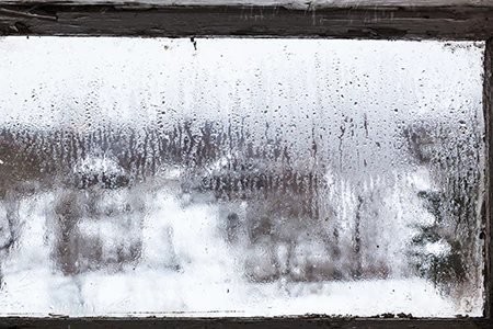 Defogging Double Pane Windows in The Acreage, FL